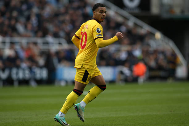 的球员既具 的球员既具